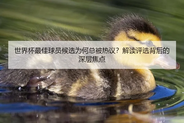 世界杯最佳球员候选为何总被热议？解读评选背后的深层焦点